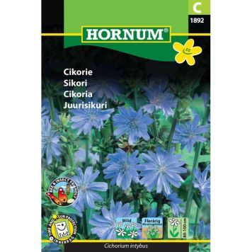 Hornum blomsterfrø cikorie