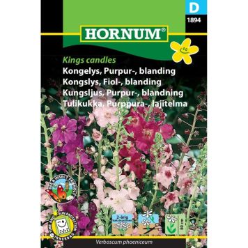 Hornum blomsterfrø purpurkongelys blanding Kings Candles