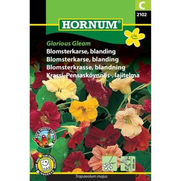 Hornum blomsterfrø blomsterkarse blanding Glorious Gleam