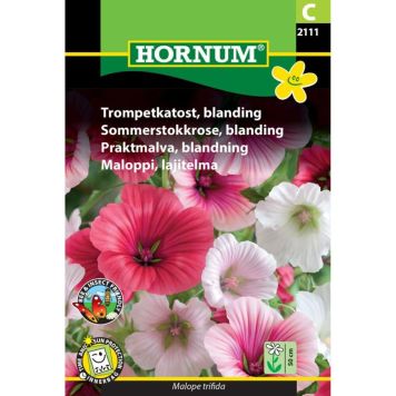 Hornum blomsterfrø trompetkatost blanding