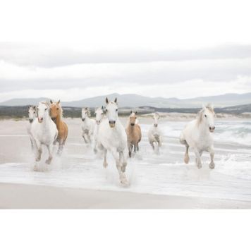 Komar fototapet White Horses 368x254 cm