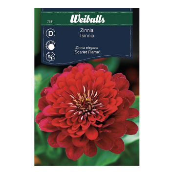 Weibulls blomsterfrø zinnia Scarlet Flame