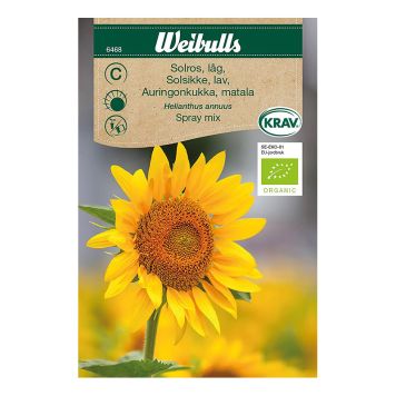 Weibulls blomsterfrø økologisk solsikke Spray Mix