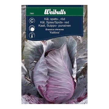 Weibulls grøntsagsfrø rød spidskål Kalibos