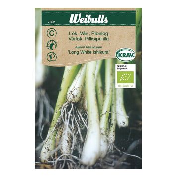 Weibulls grøntsagsfrø økologisk pibeløg Long White Ishikura