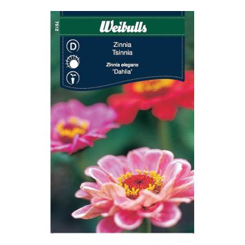 Weibulls blomsterfrø zinnia Dahlia