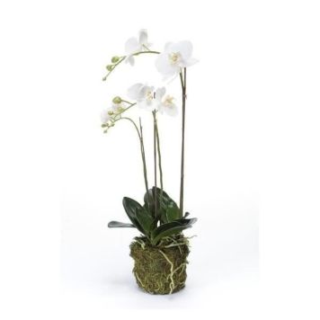 Emerald kunstig orkideplante med mos hvid 70 cm