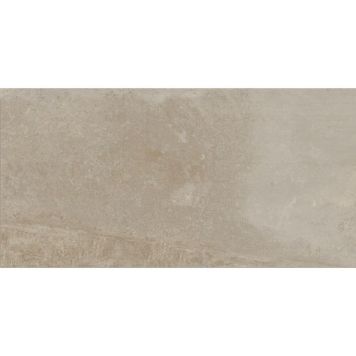 Gulv-/vægflise ruggine beige 31x62 cm 1,63 m²