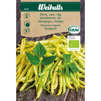 Weibulls grøntsagsfrø voksbønne Berggold