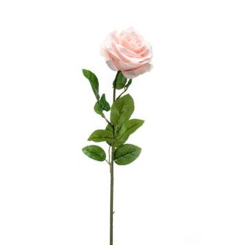 Emerald Rose i peach 63 cm