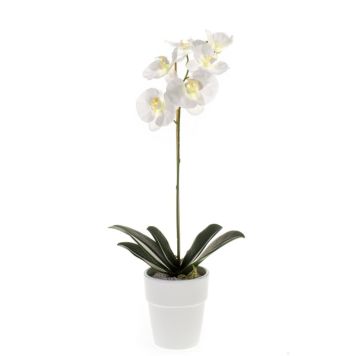 Emerald orkidé med potte hvid 55 cm 