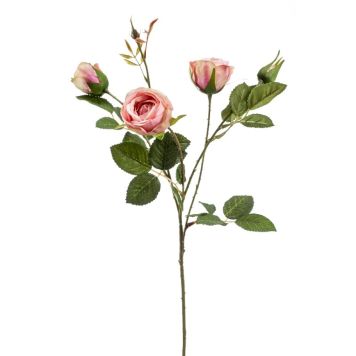 Emerald rose pink 60 cm