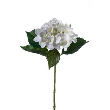 Emerald hortensia afskåret hvid 53 cm