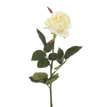 Emerald rose Simone hvid 73 cm
