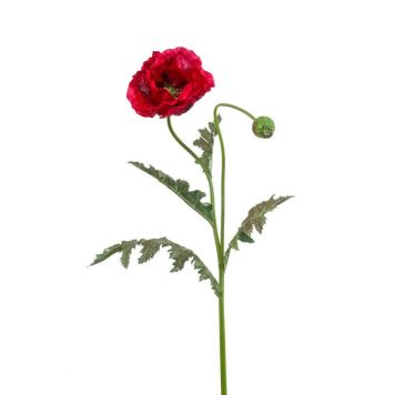 Emerald Poppy rød 100 cm 