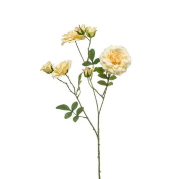 Emerald Engelsk Rose gul 68 cm 