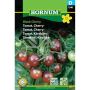 Hornum grøntsagsfrø Tomat, Cherry- Black Cherry