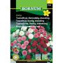 Hornum blomsterfrø Tusindfryd, Almindelig, blanding