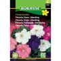 Hornum blomsterfrø Petunia, Have-, blanding