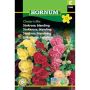 Hornum blomsterfrø Stokrose, blanding