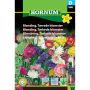 Hornum frøblanding tørrede blomster