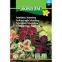 Hornum plantefrø paletblad blanding