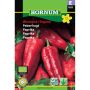 Hornum grøntsagsfrø peberfrugt Atris F1 økologisk