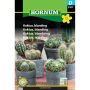 Hornum plantefrø kaktus blanding