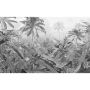Komar fototapet Amazonia Black & White 400x250 cm