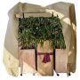 Videx vinterbeskyttelse til planter fleececover xxl 200x100x250 cm