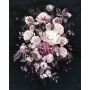 Komar fototapet Bouquet Noir 200x250 cm