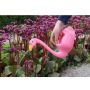 Garden Life vandkande flamingo