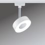 Paulmann LED-spotlampe Circle URail hvid
