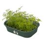 Elho plantebakke Green Basics Grow Tray S grøn