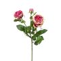 Emerald Rose lilla 58 cm