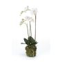 Emerald kunstig orkideplante med mos hvid 70 cm