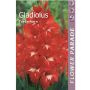 Kapiteyn blomsterløg gladiolus Red 7 stk.