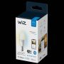 Wiz LED-kertepære Whites mat C37 E14 4,9 W