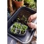 Elho såbakke Green Basics Grow Tray plast 22 cm