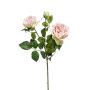 Emerald Rose pink 58 cm