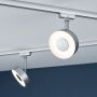 Paulmann LED-spotlampe Circle URail mat krom