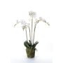 Emerald kunstig orkideplante med mos hvid 90 cm 