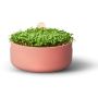 Elho krukke Microgreens Grow Your Own Ø17 cm terra