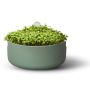Elho krukke Microgreens Grow Your Own Ø17 cm grøn