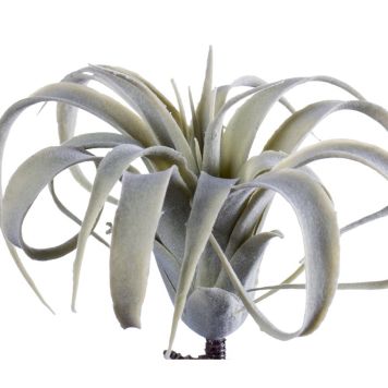 Emerald kunstig luftplante Tillandsia Cites 15 cm