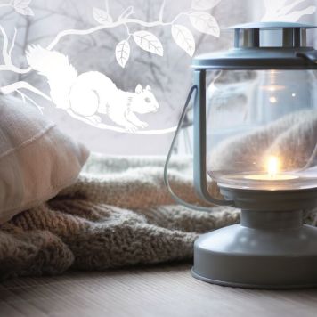 d-c-fix klæbefolie Pineview 150x45 cm 