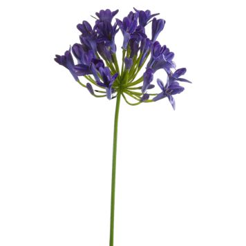 Emerald kunstig blomst Agapantus blå 75 cm