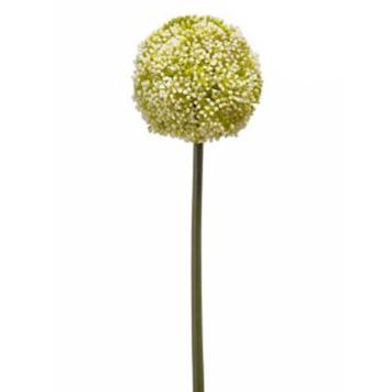 Emerald kunstig snitblomst Allium hvid 75 cm