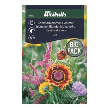 Weibulls blomsterfrø sommerblomster Mix storpak 