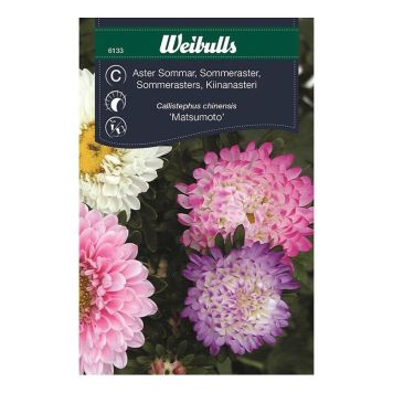 Weibulls blomsterfrø 'Sommerasters'